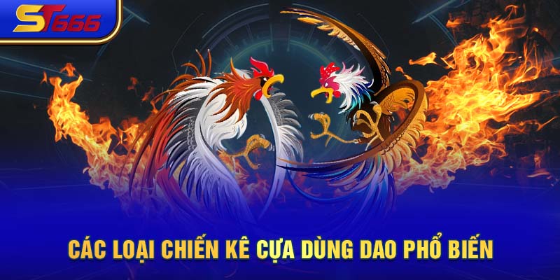 Các loại chiến kê cựa dùng dao phổ biến