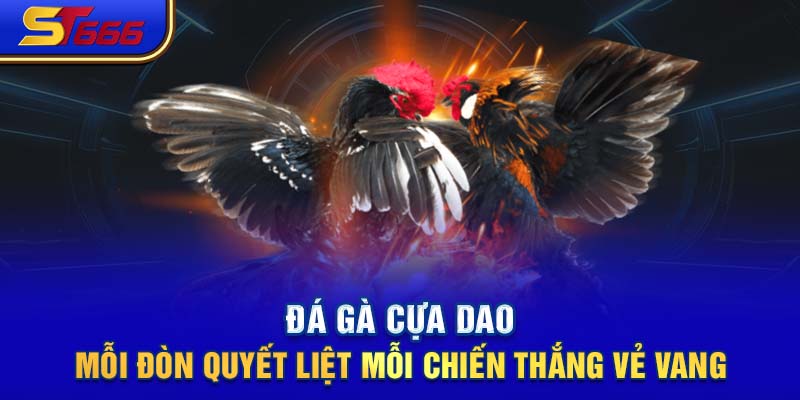 Đá Gà Cựa Dao - Mỗi Đòn Quyết Liệt Mỗi Chiến Thắng Vẻ Vang