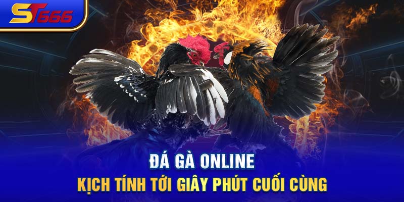 Đá gà online kịch tính tới giây phút cuối cùng