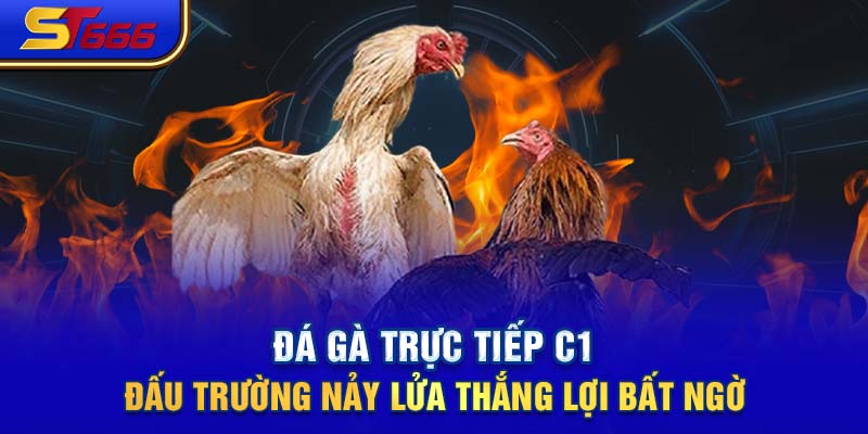 Đá Gà Trực Tiếp C1 - Đấu Trường Nảy Lửa Thắng Lợi Bất Ngờ