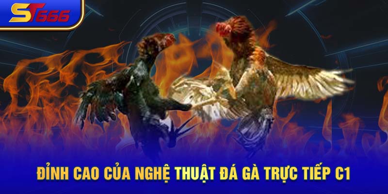 Nét đẹp nghệ thuật đá gà trực tiếp C1