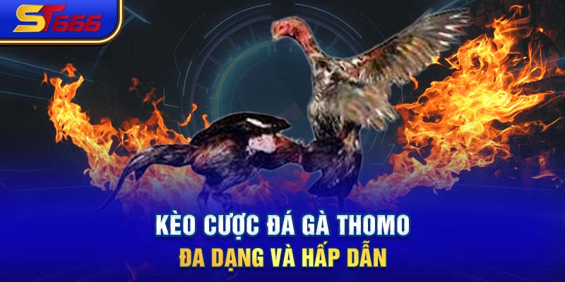 Kèo cược đá gà Thomo đa dạng và hấp dẫn