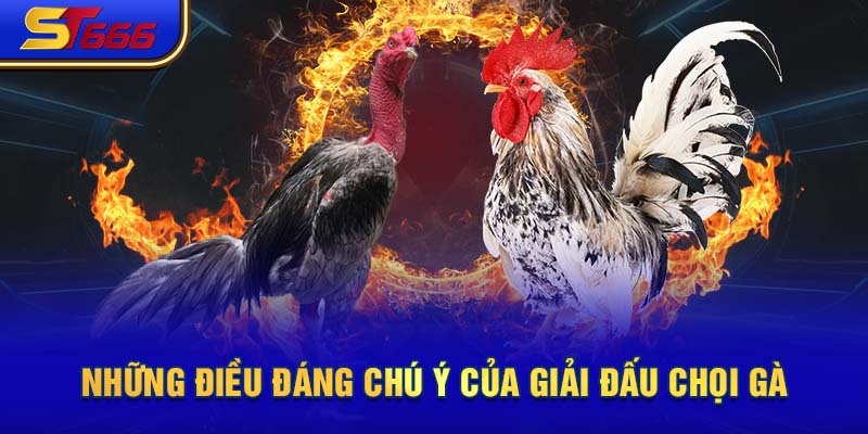 Những điều đáng chú ý của giải đấu chọi gà