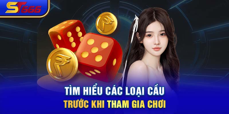 Tìm hiểu các loại cầu trước khi tham gia chơi