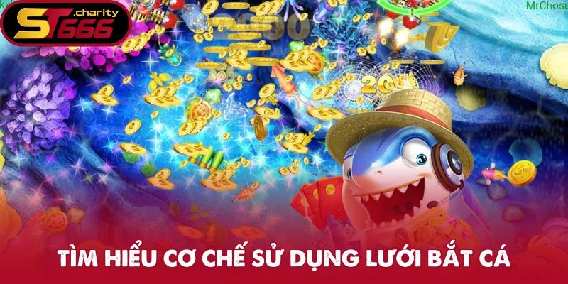 Tìm hiểu cơ chế sử dụng lưới bắt cá