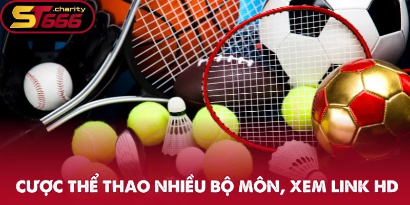 Cá cược thể thao nhiều bộ môn, xem link HD