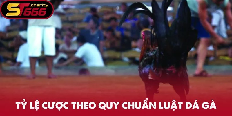 Tỷ lệ cược theo quy chuẩn luật dá gà